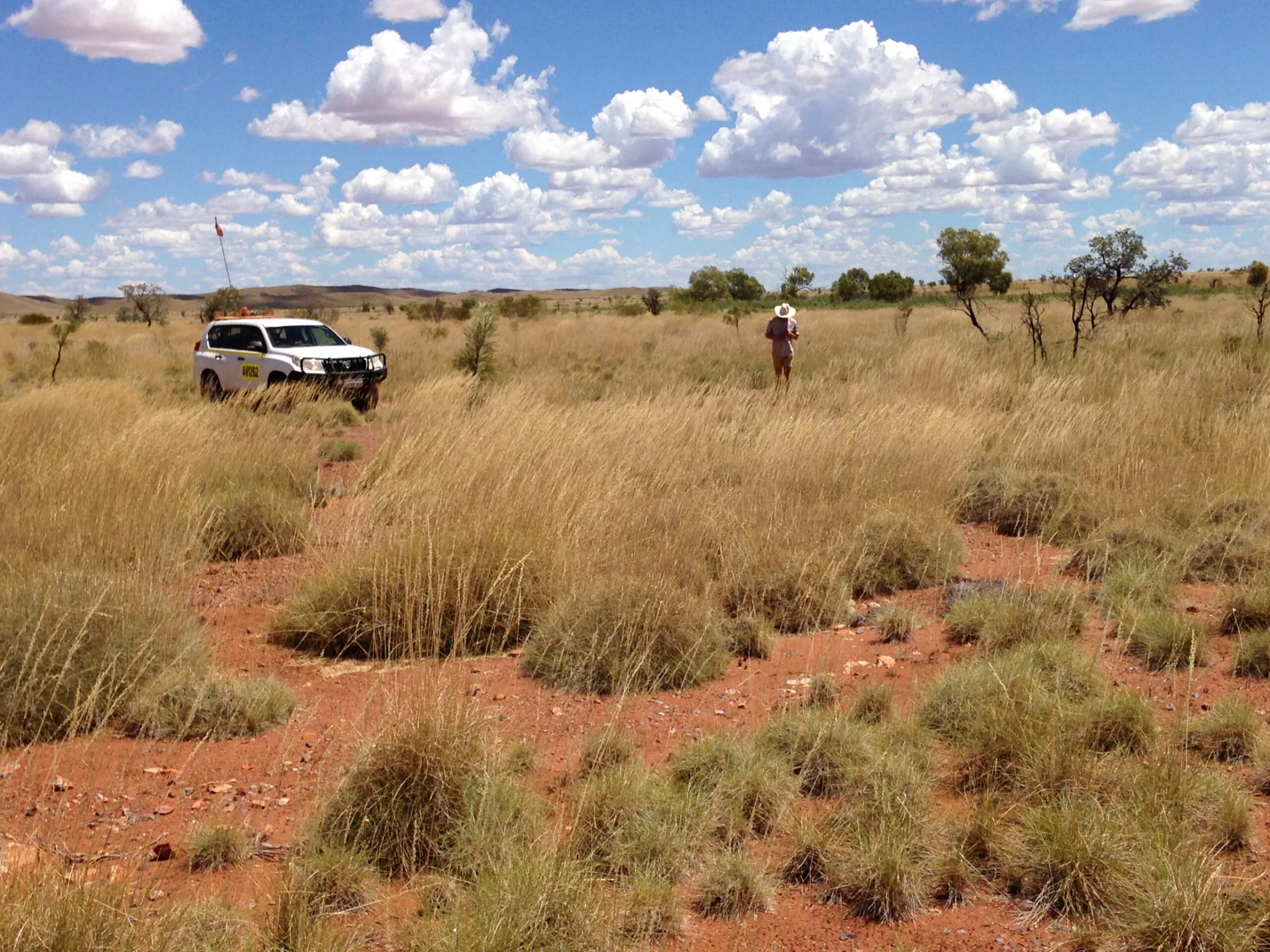 Western Australia (Australia)